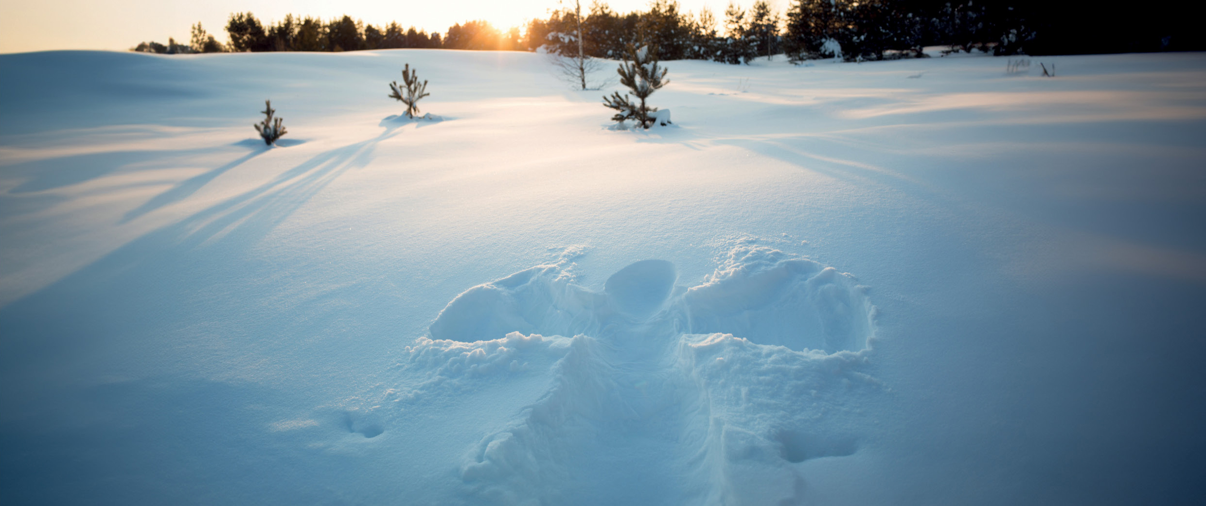 Schneeengel im Wald