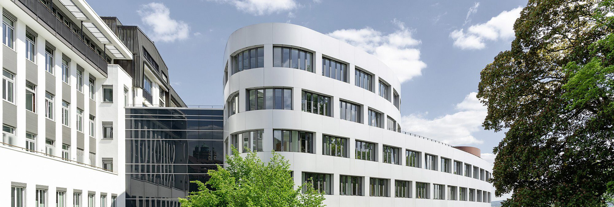 header-global-e1738155648871 Kopie Header EKK