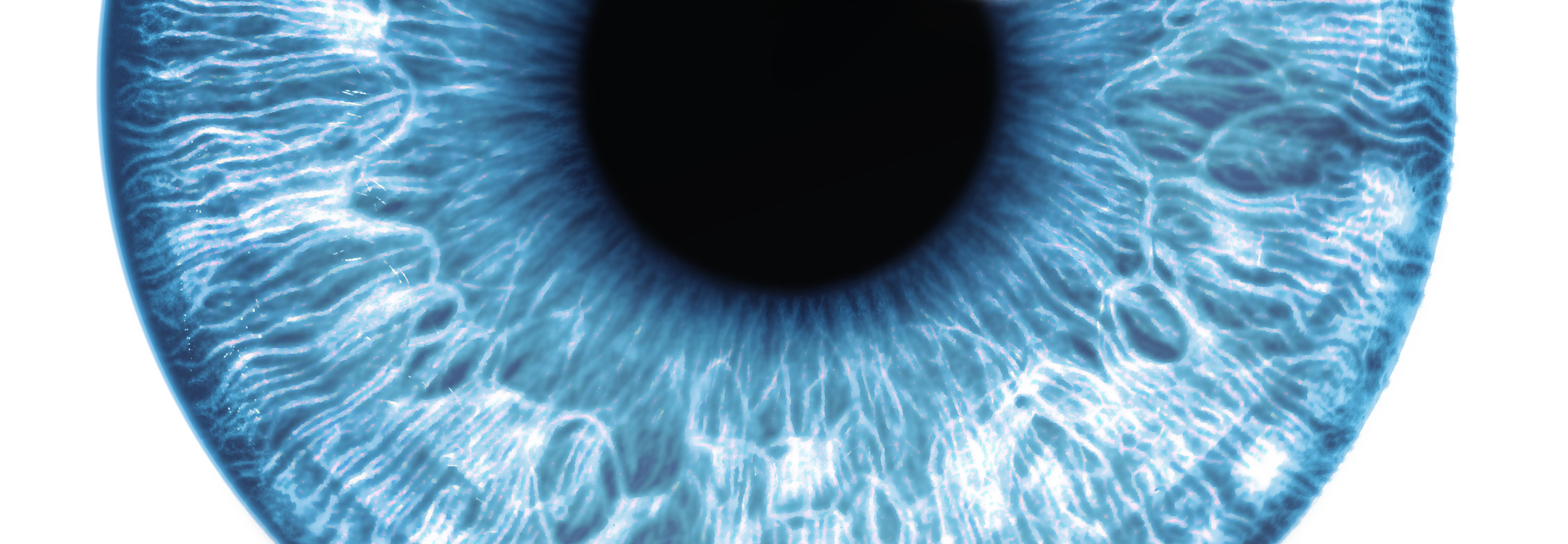 Veranstaltung 09.2026
